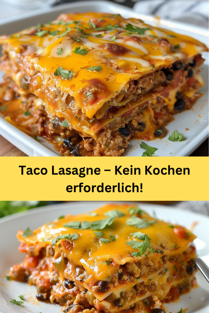 Wenn Sie Lust auf ein köstliches, mexikanisch inspiriertes Gericht haben, das die ganze Familie begeistern wird, dann ist diese Taco