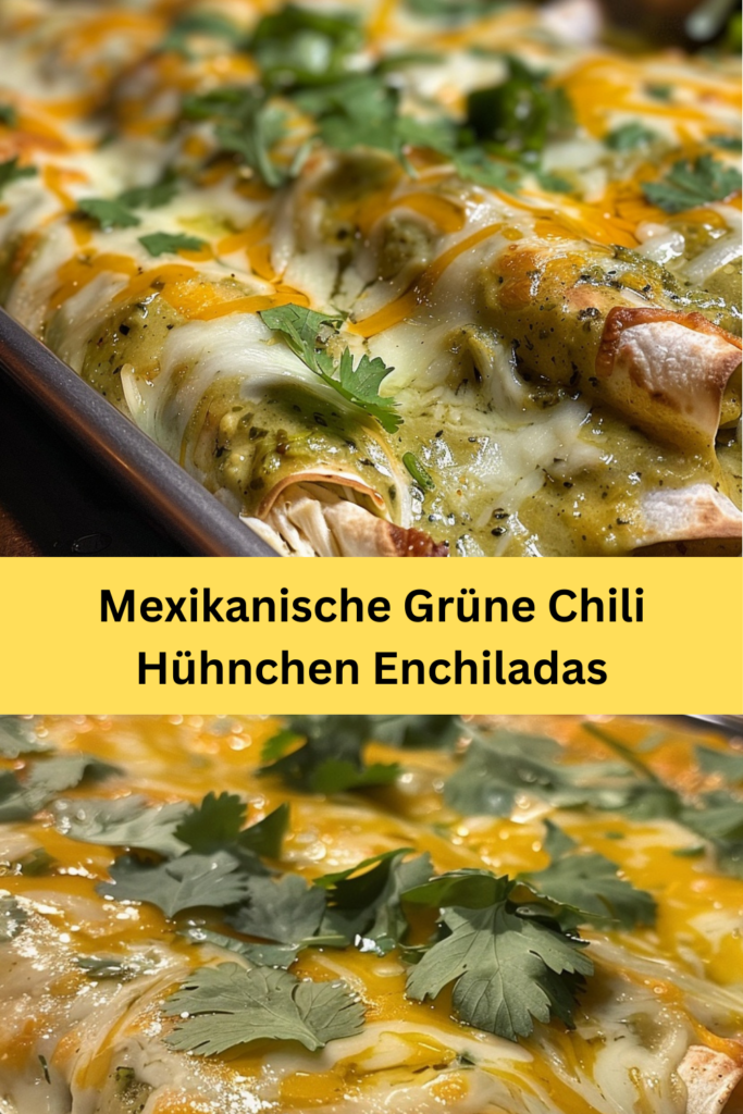 Eintauchen in die Aromen von New Mexico mit einem herzhaften Rezept, das die Essenz der regionalen Küche einfängt: